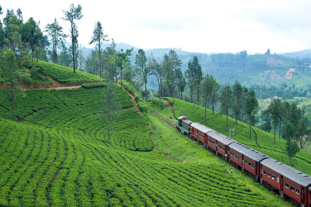 Sri Lanka : Séminaire d'entreprise et voyage incentive entre paysages exotiques et authentiques
