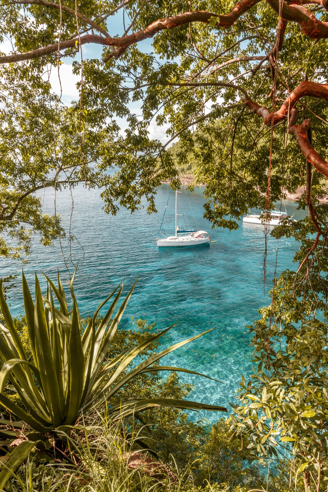 Martinique : Un séminaire d’entreprise et un voyage incentive inoubliable dans un des décors paradisiaque des Caraïbes