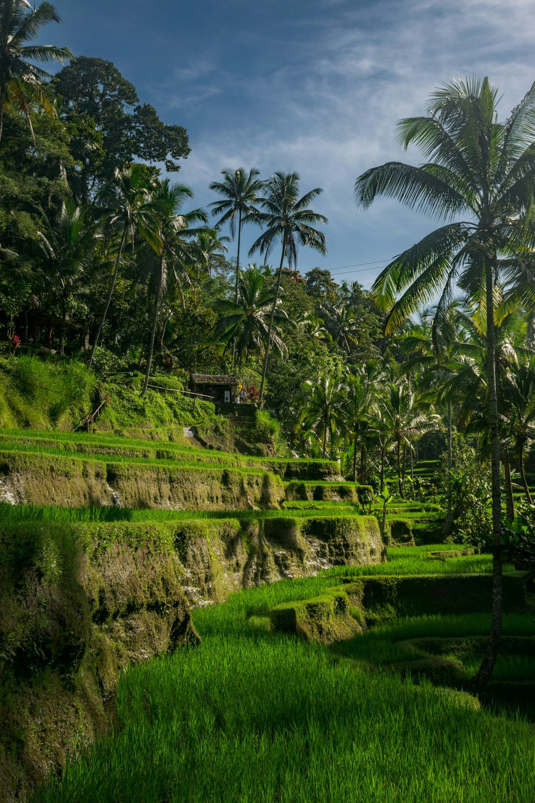 Bali : Un voyage incentive en Indonésie entre nature luxuriante et expériences immersives