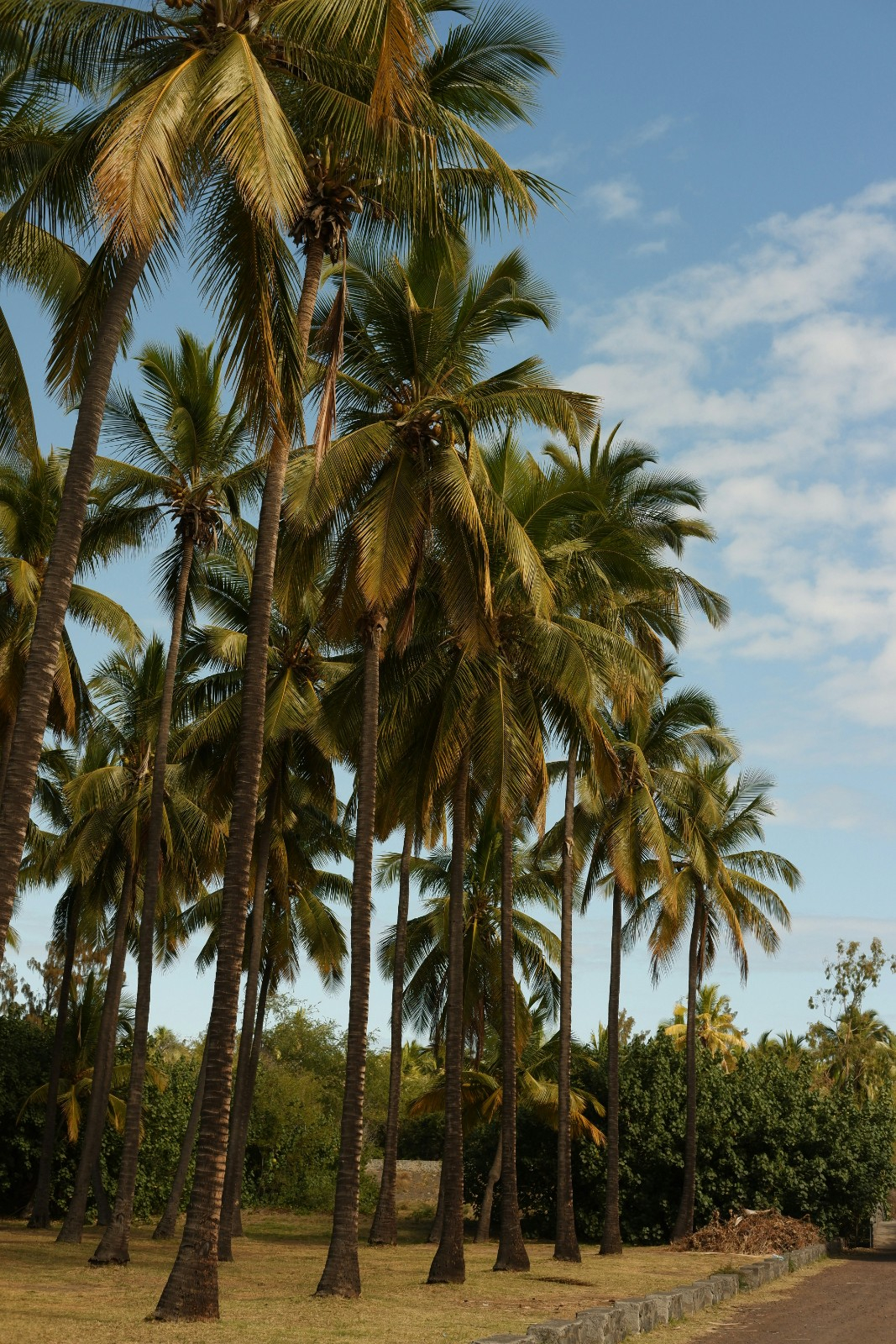 La Réunion : Séminaire d'entreprise et voyage incentive entre plages paradisiaques et aventures en montagne