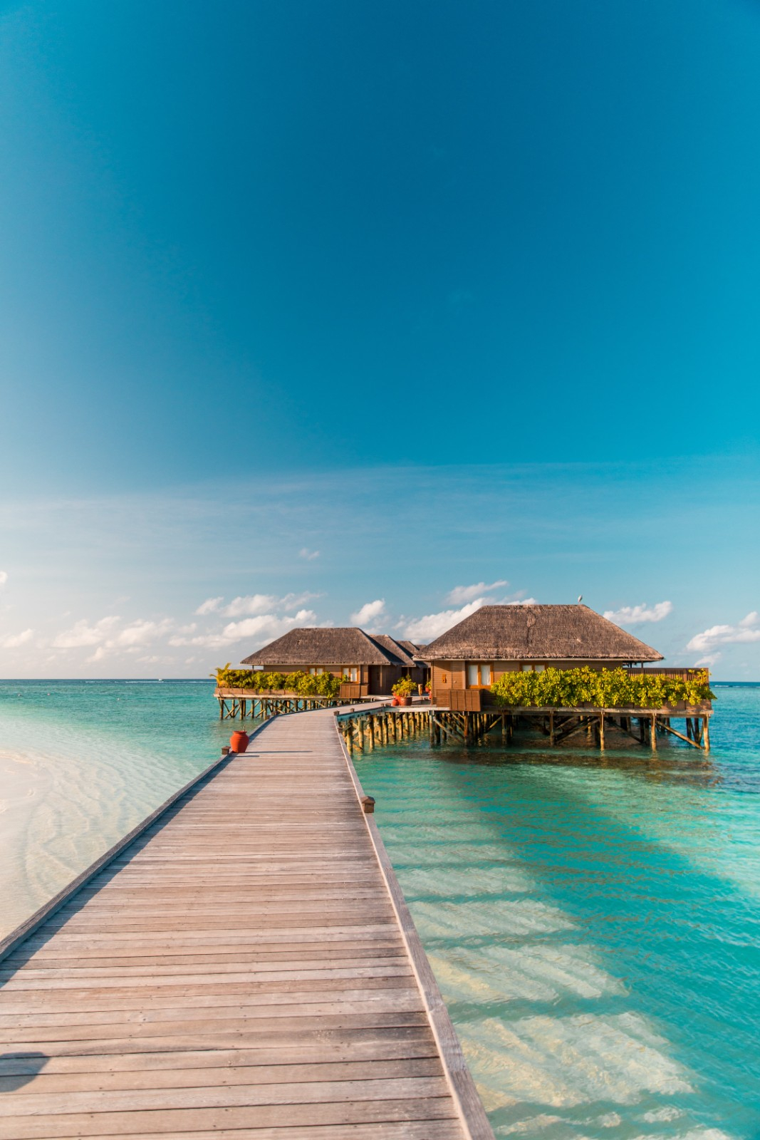 Top 5 des îles incontournables pour un séminaire d'entreprise dans l’Océan Indien