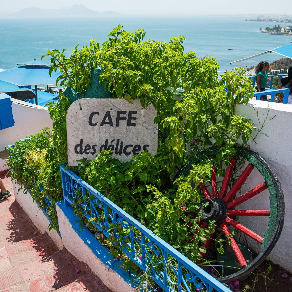  Un voyage incentive en Tunisie pour valoriser votre culture d’entreprise dans un décor unique