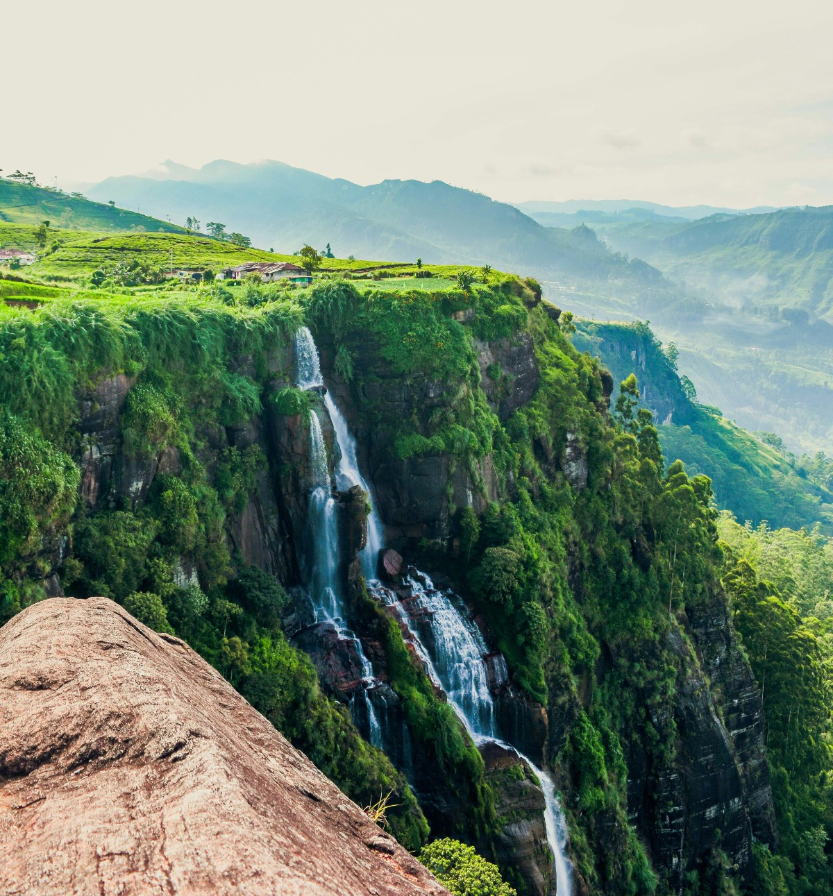  Séminaire d’entreprise au Sri Lanka : voyage incentive et team building dans une destination authentique