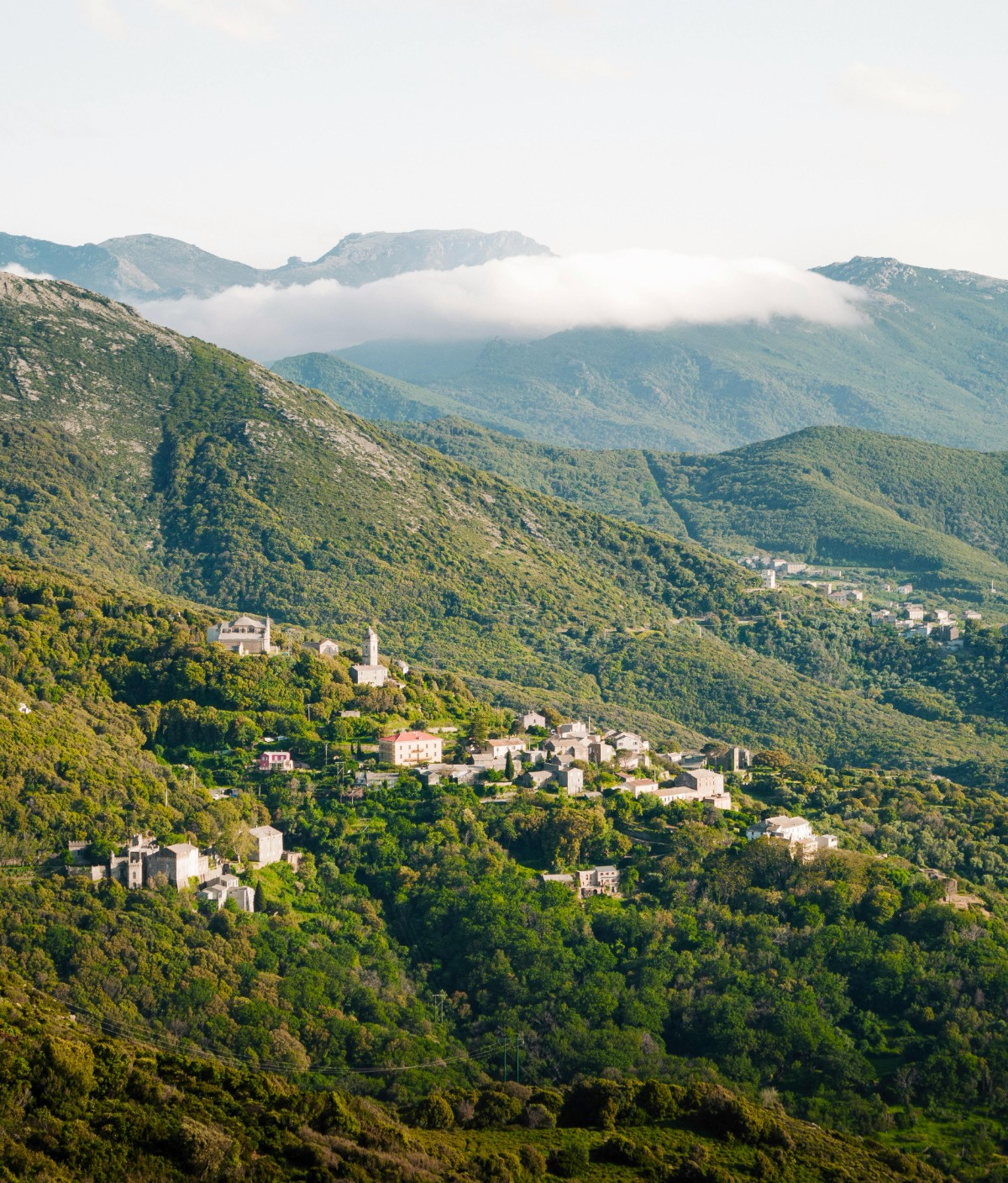 Séminaire et convention en Corse : combinez travail, team building et incentive dans un cadre naturel du sud de la France.