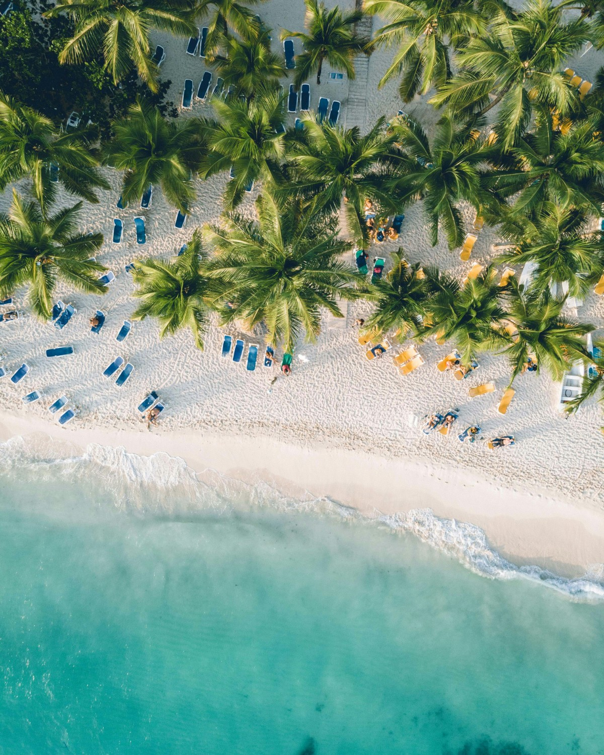 République Dominicaine : Un séminaire d’entreprise et un séjour incentive exceptionnel entre découverte et performance