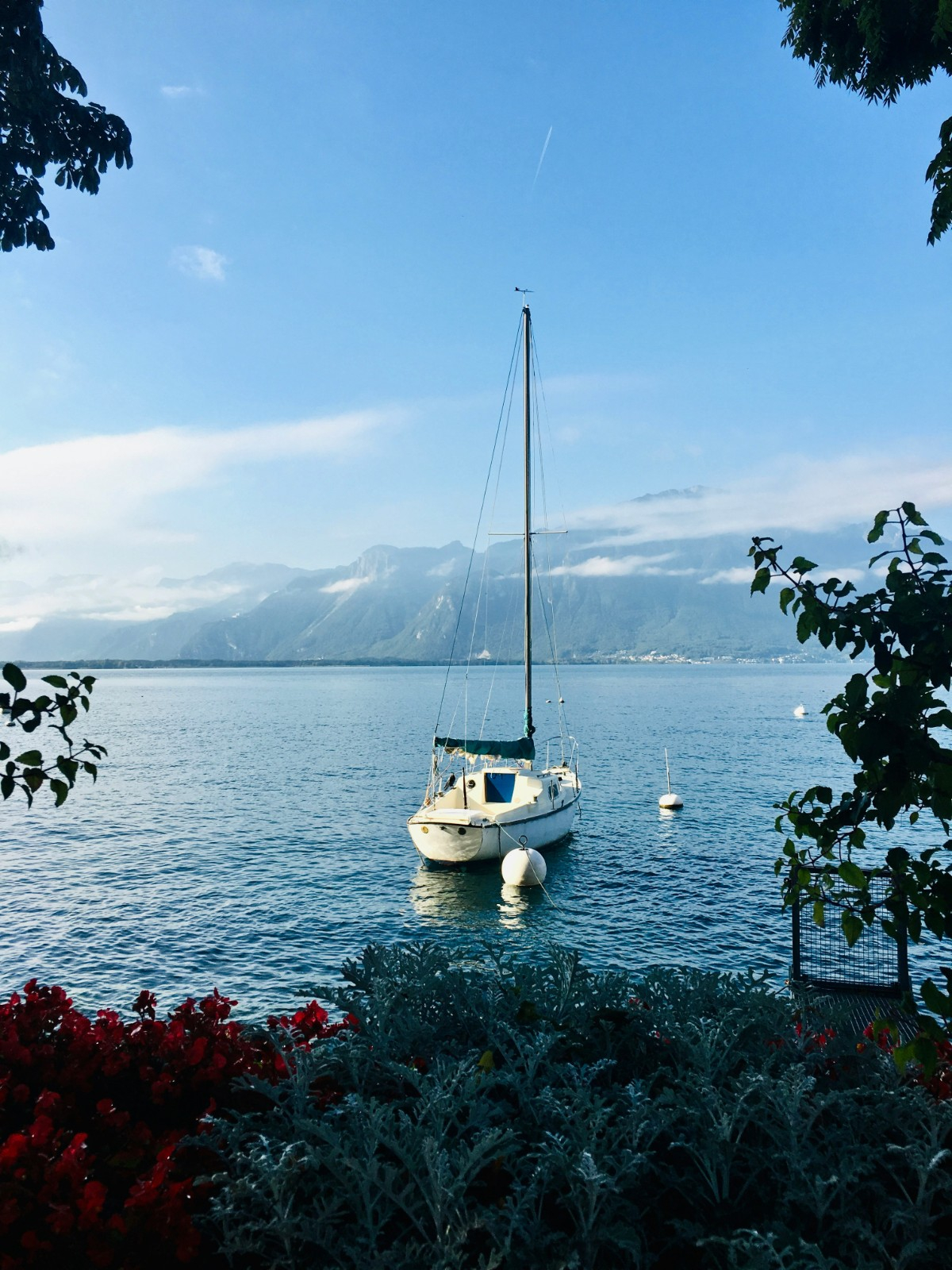 Séminaire et team building à Lausanne : vivez un voyage incentive au rythme de la Suisse
