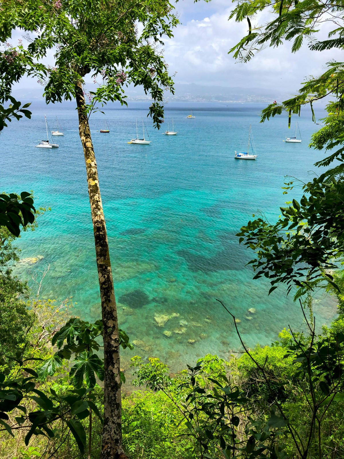 Martinique : Un séminaire d’entreprise et un voyage incentive inoubliable dans un des décors paradisiaque des Caraïbes
