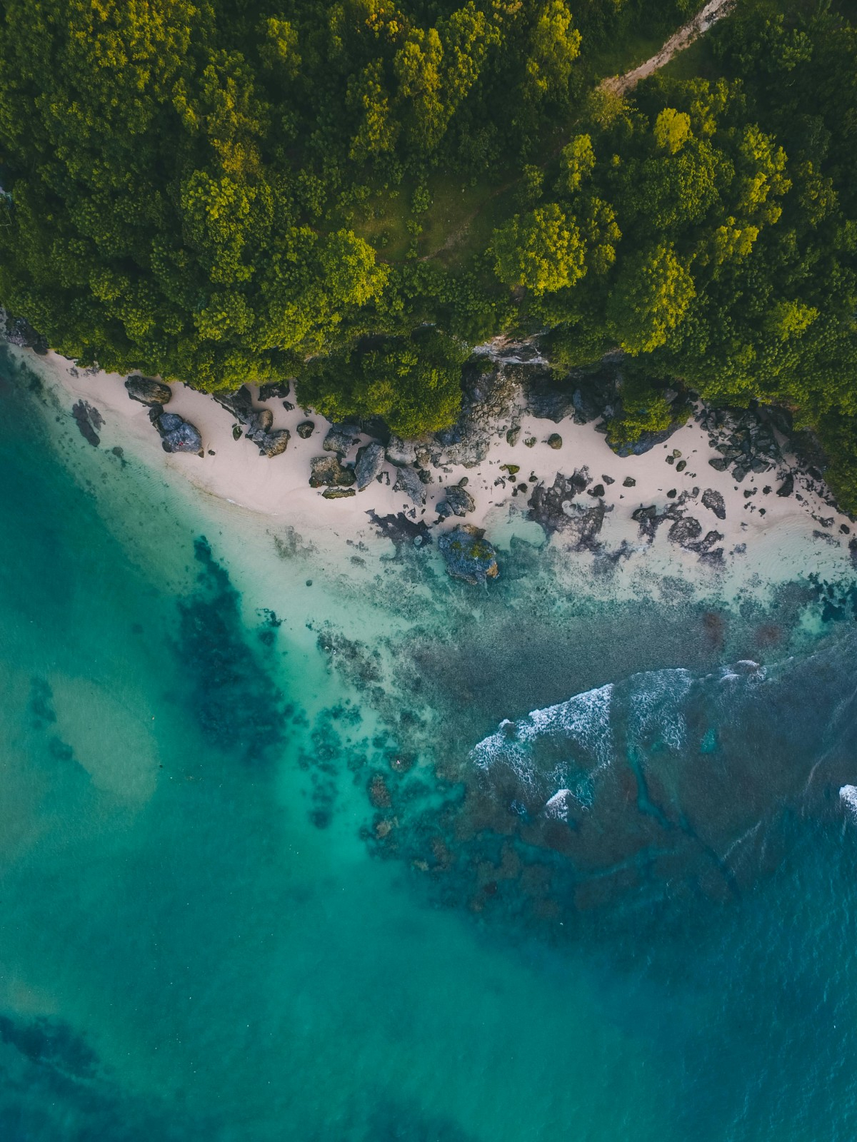 Bali : Un voyage incentive en Indonésie entre nature luxuriante et expériences immersives