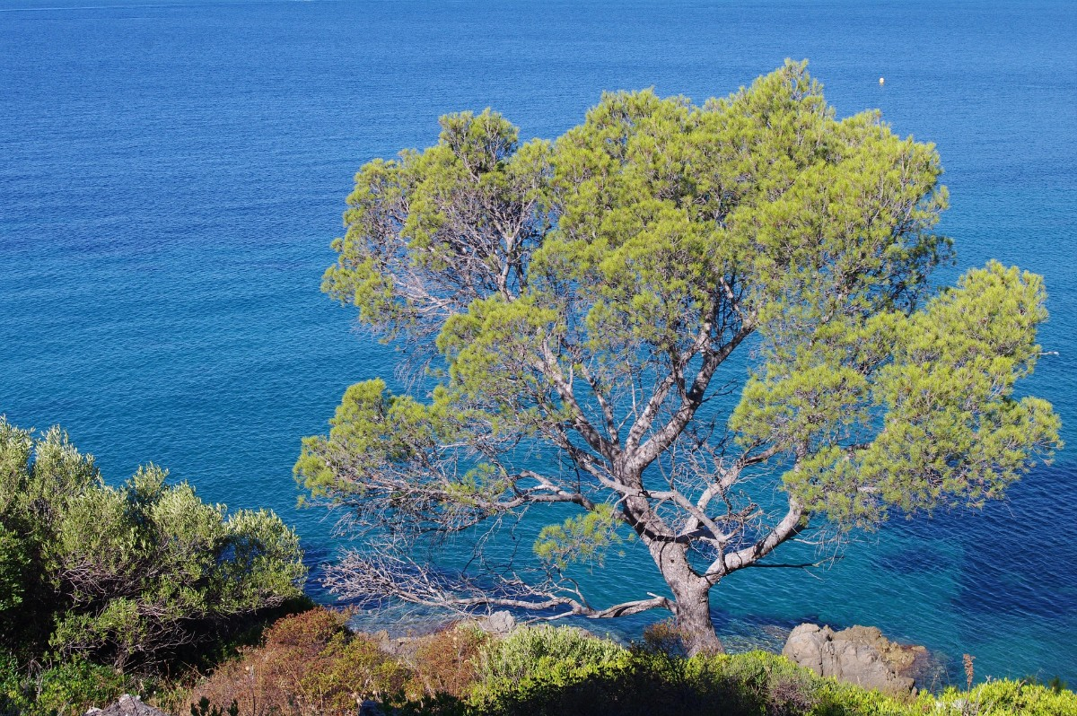 Nice : Un séminaire clé en main sur la Côte d’Azur pour booster la motivation de vos collaborateurs