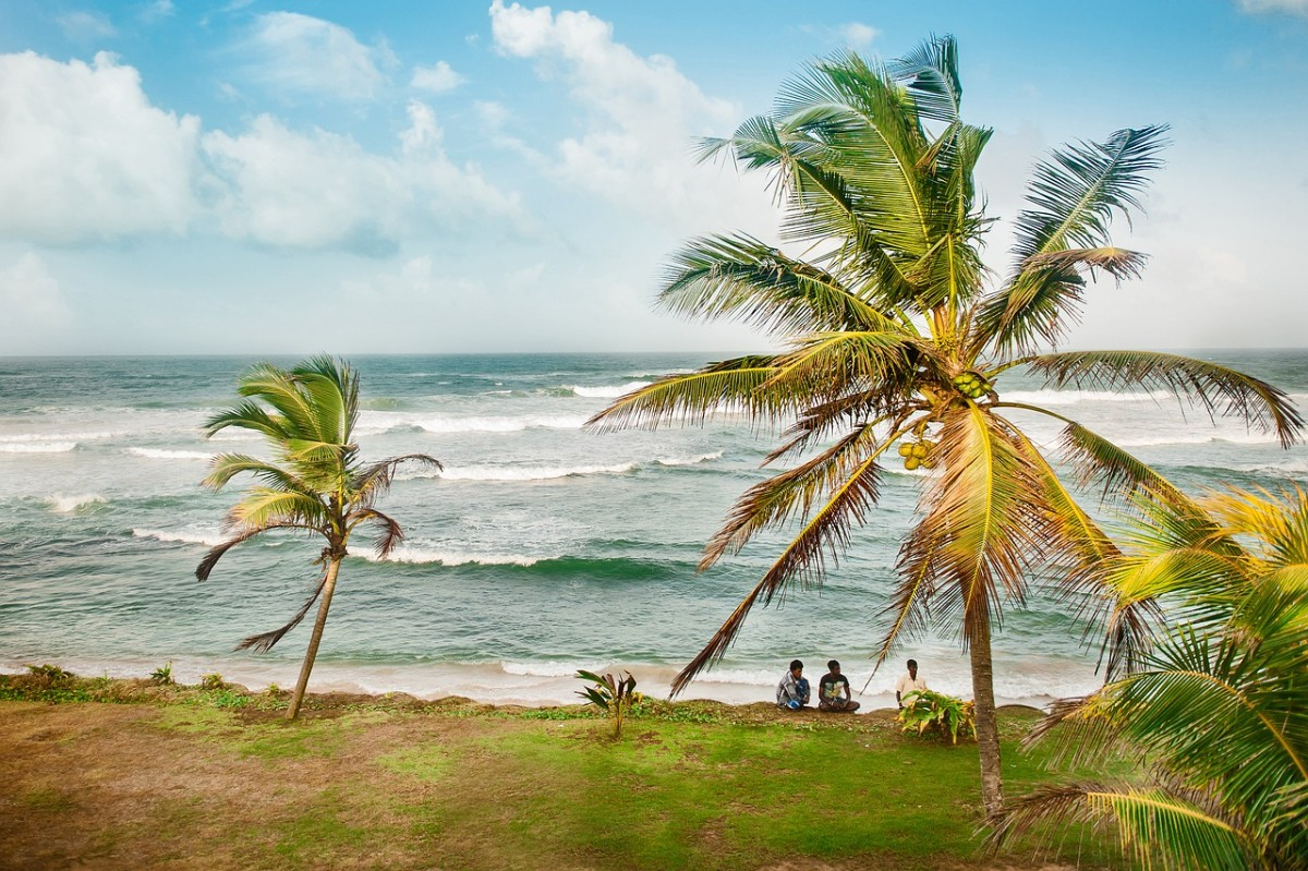 Sri Lanka : Séminaire d'entreprise et voyage incentive entre paysages exotiques et authentiques