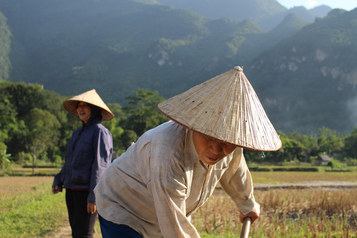 Voyage incentive au Vietnam : circuit sur-mesure entre Ho Chi Minh, Hanoï et Baie d’Halong