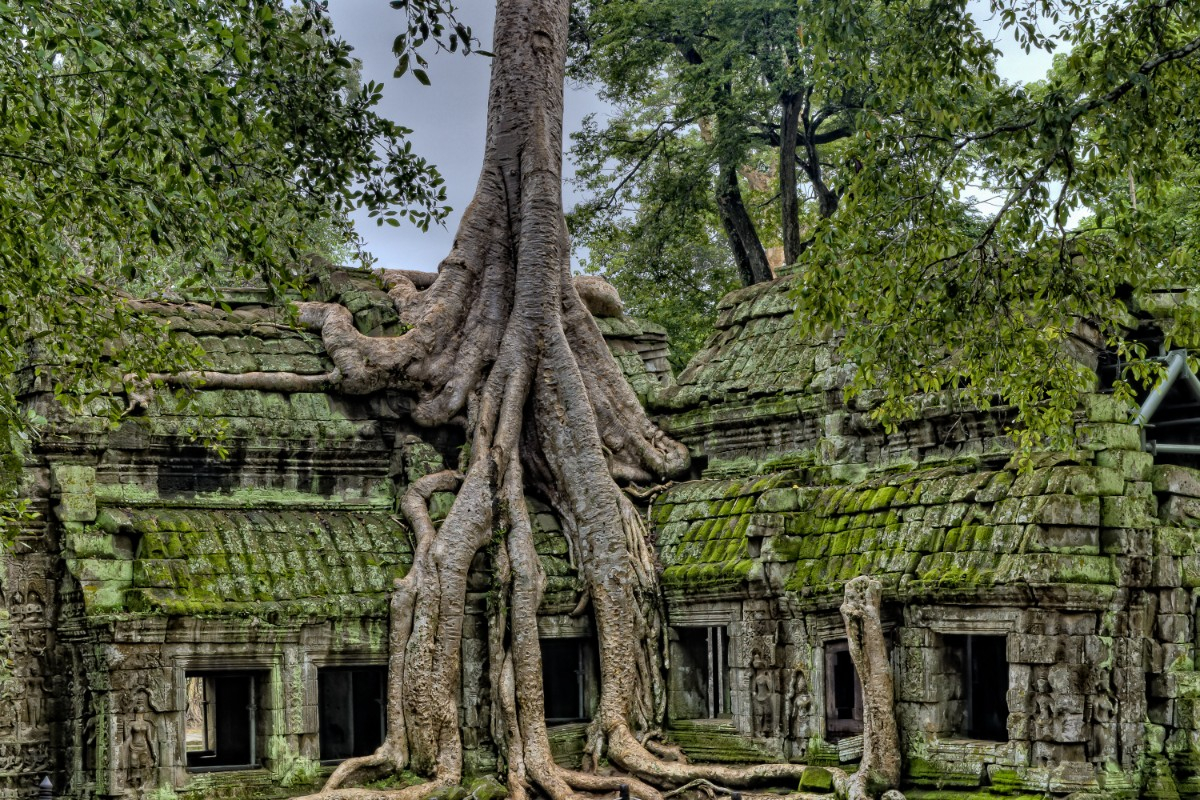 Séjour d’entreprise au Cambodge : Un voyage incentive authentique entre culture et team building immersif