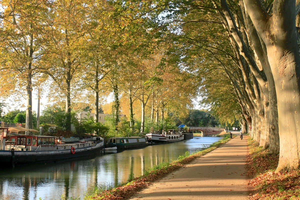 Toulouse, capitale d’Occitanie : secrets pour un séminaire d’entreprise mémorable