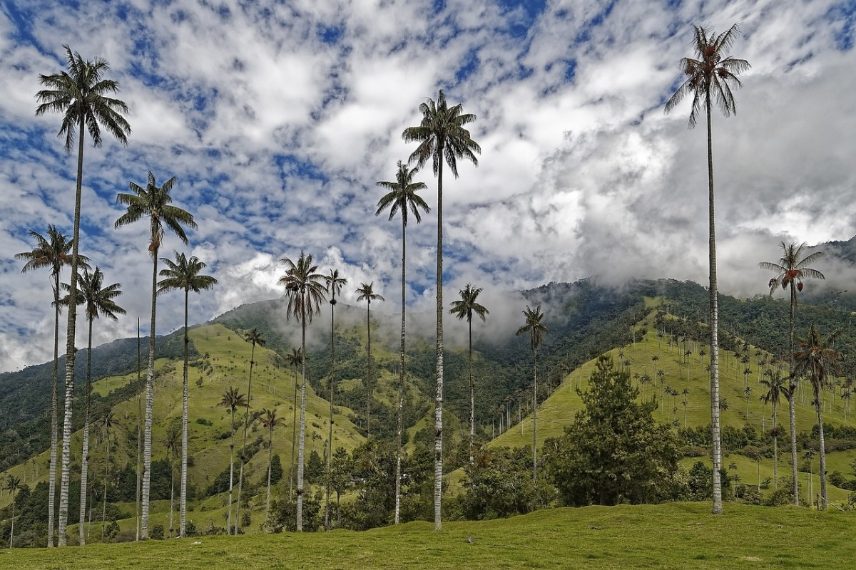 Colombie : un voyage incentive immersif et stimulant aux portes des Caraïbes