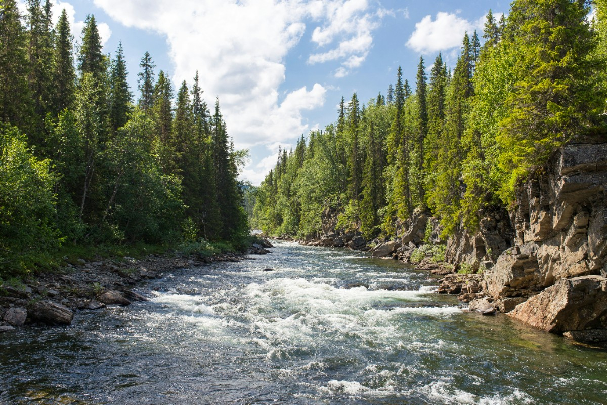  Voyage de récompense en Suède : incentive et team building dans un cadre nordique exceptionnel