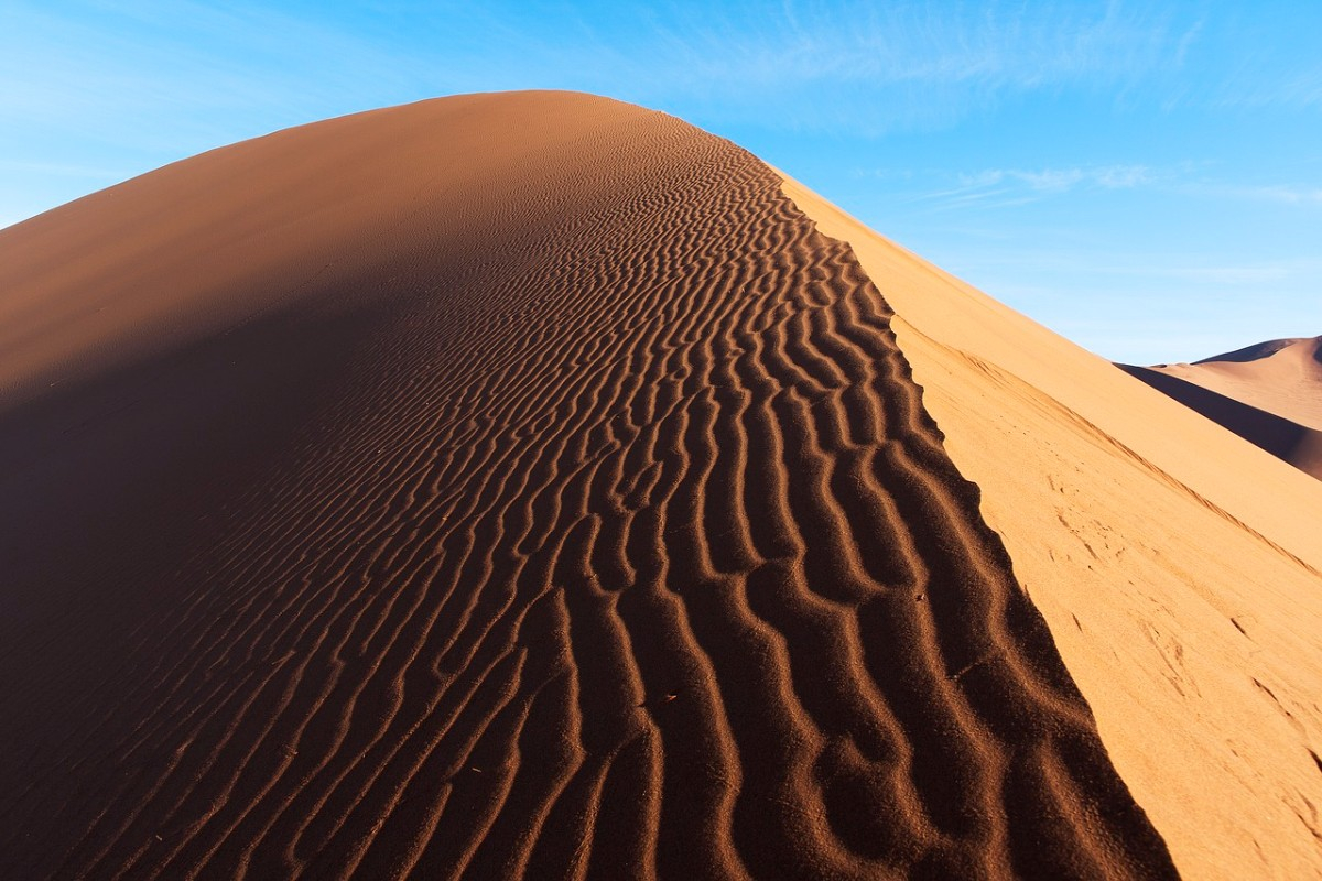 Un séminaire d'entreprise en Namibie, une expérience immersive entre désert et aventure