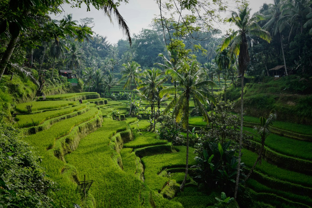 Bali : Voyage incentive et activités team building en Indonésie dans un cadre naturel exceptionnel