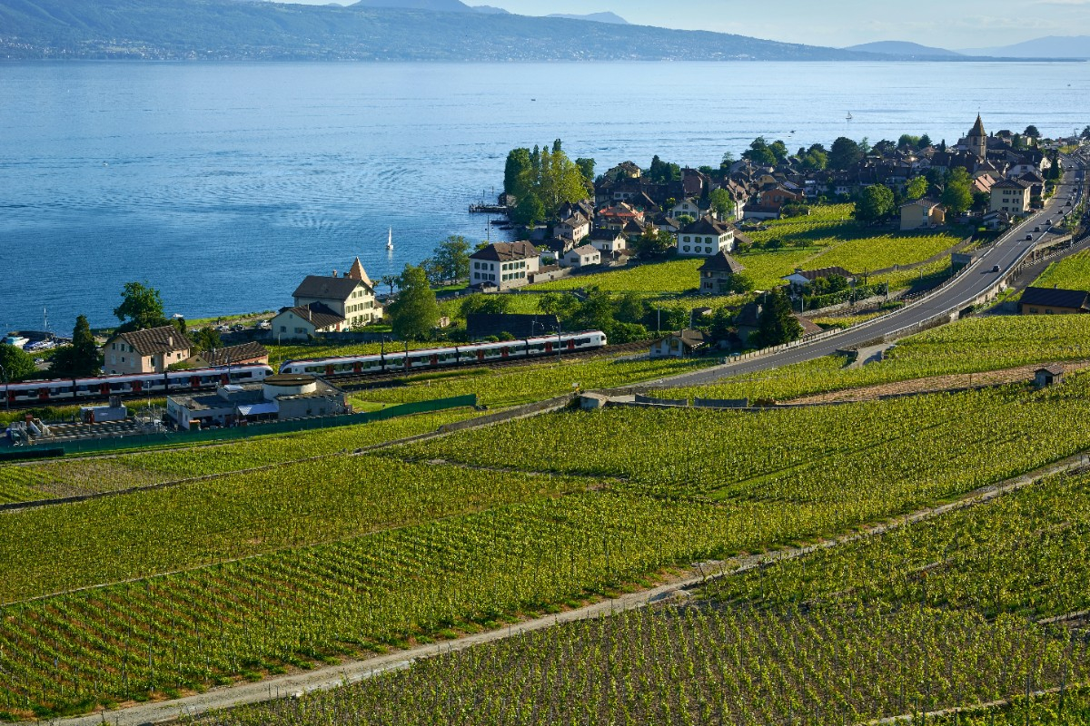 Séminaire et team building à Lausanne : vivez un voyage incentive au rythme de la Suisse
