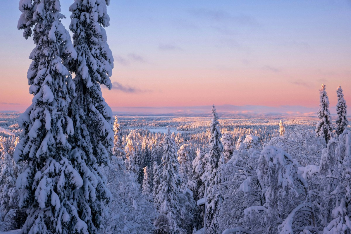 Voyage de récompense en Laponie : Un voyage incentive magique en Finlande entre neige, team building et récompense
