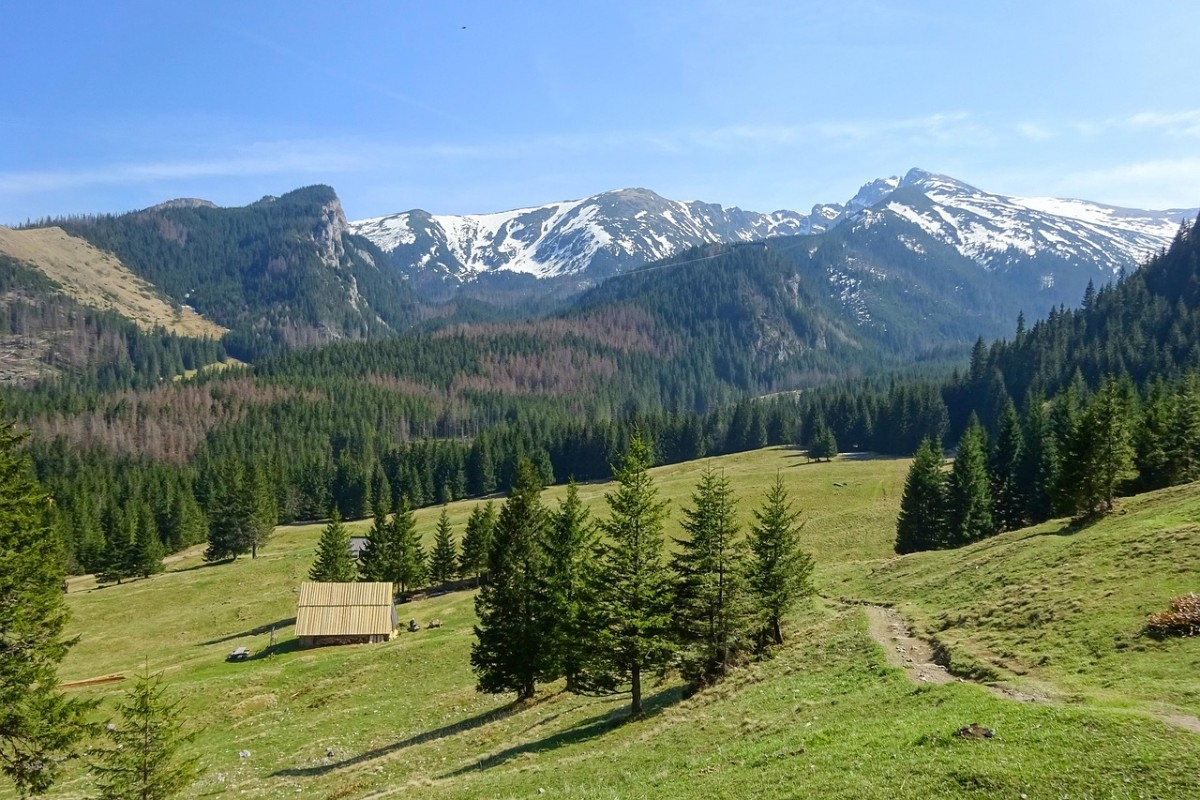 Pologne : séminaire et team building pour un voyage incentive et une convention réussie