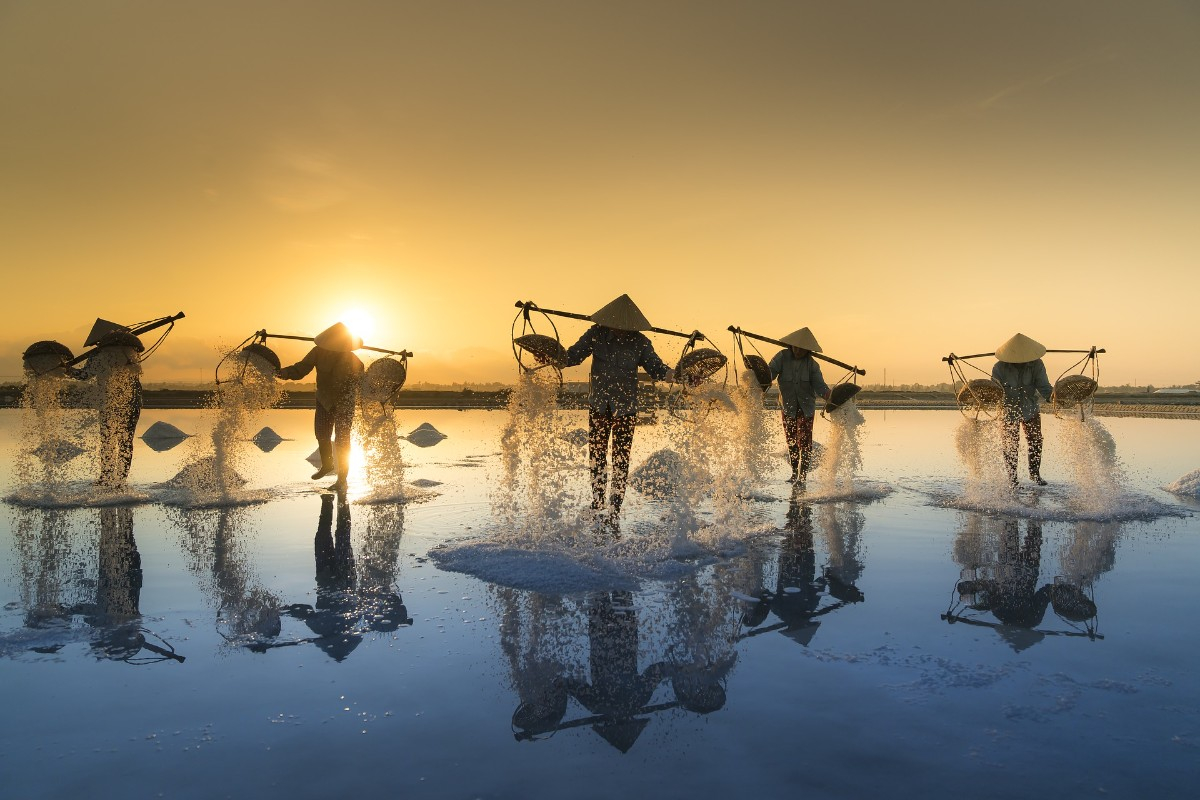 Séminaire d’entreprise au Vietnam : un voyage incentive entre rizières, culture et performance collective