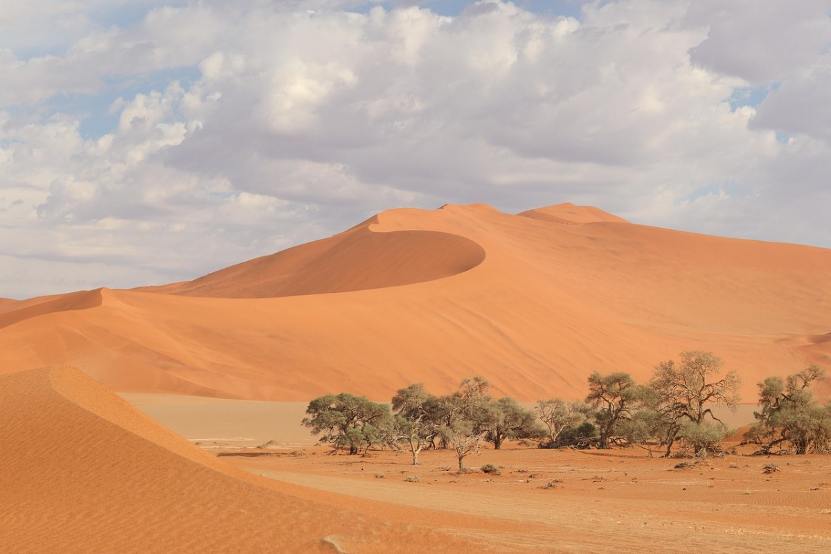 Pourquoi choisir la Namibie pour votre prochain voyage incentive et séminaire d’entreprise ?