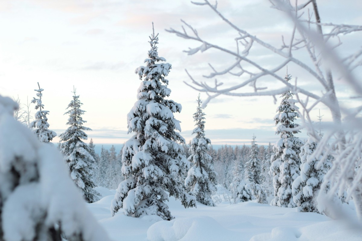 Voyage de récompense en Laponie : Un voyage incentive magique en Finlande entre neige, team building et récompense