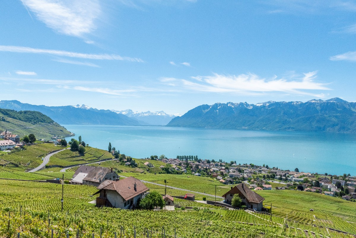 Séminaire et team building à Lausanne : vivez un voyage incentive au rythme de la Suisse