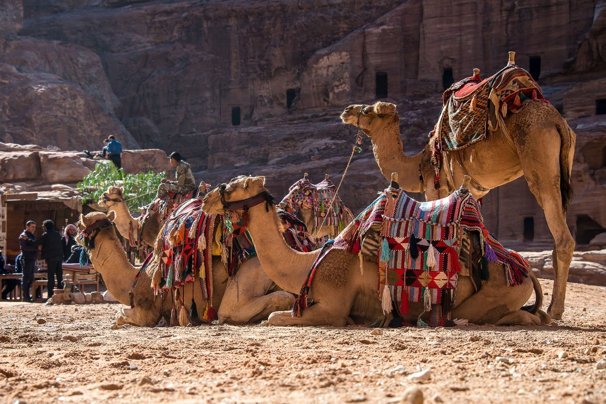 Voyage de récompense en Jordanie : circuit incentive entre désert du Wadi Rum, Pétra et la mer Morte