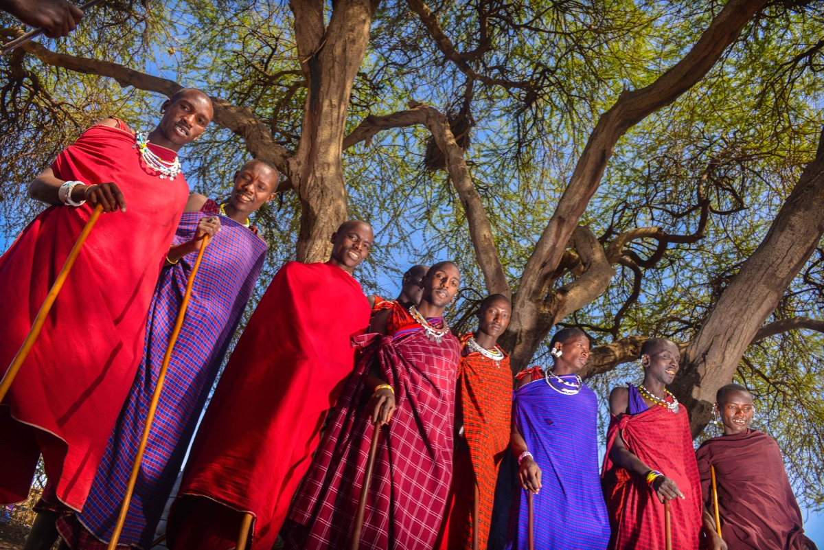 Voyage incentive en Tanzanie : l’aventure safari au service de la motivation d’équipe
