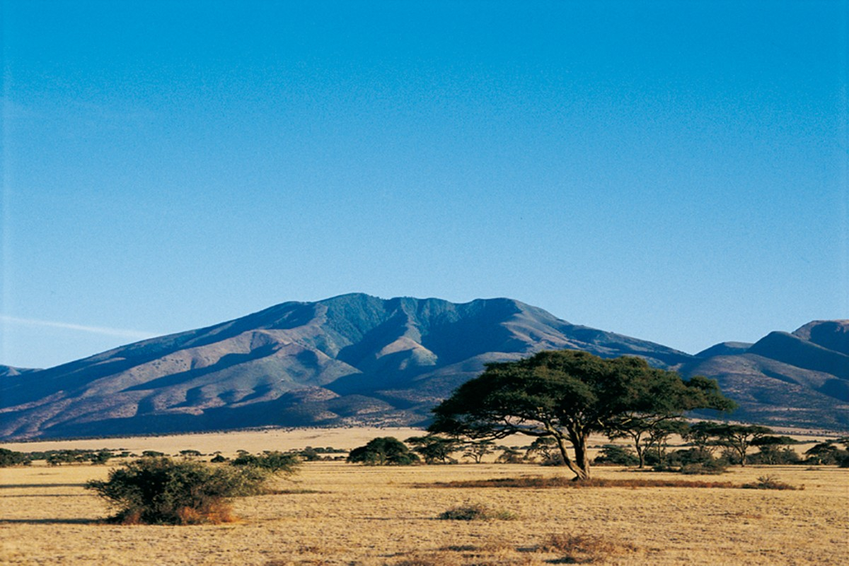 Voyage de récompense en Tanzanie : un voyage incentive entre savane, team building et aventure humaine