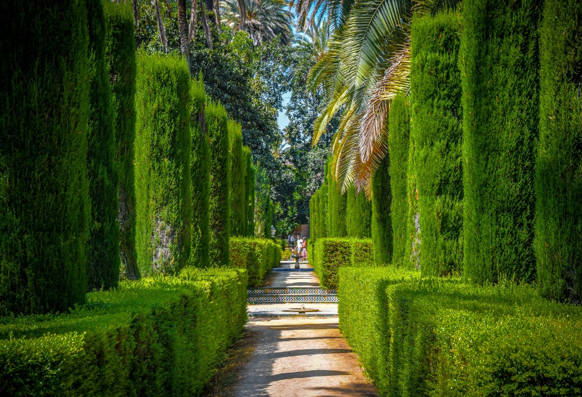 Séminaire à Séville – Espagne : convention, incentive et team building au cœur de l’Andalousie