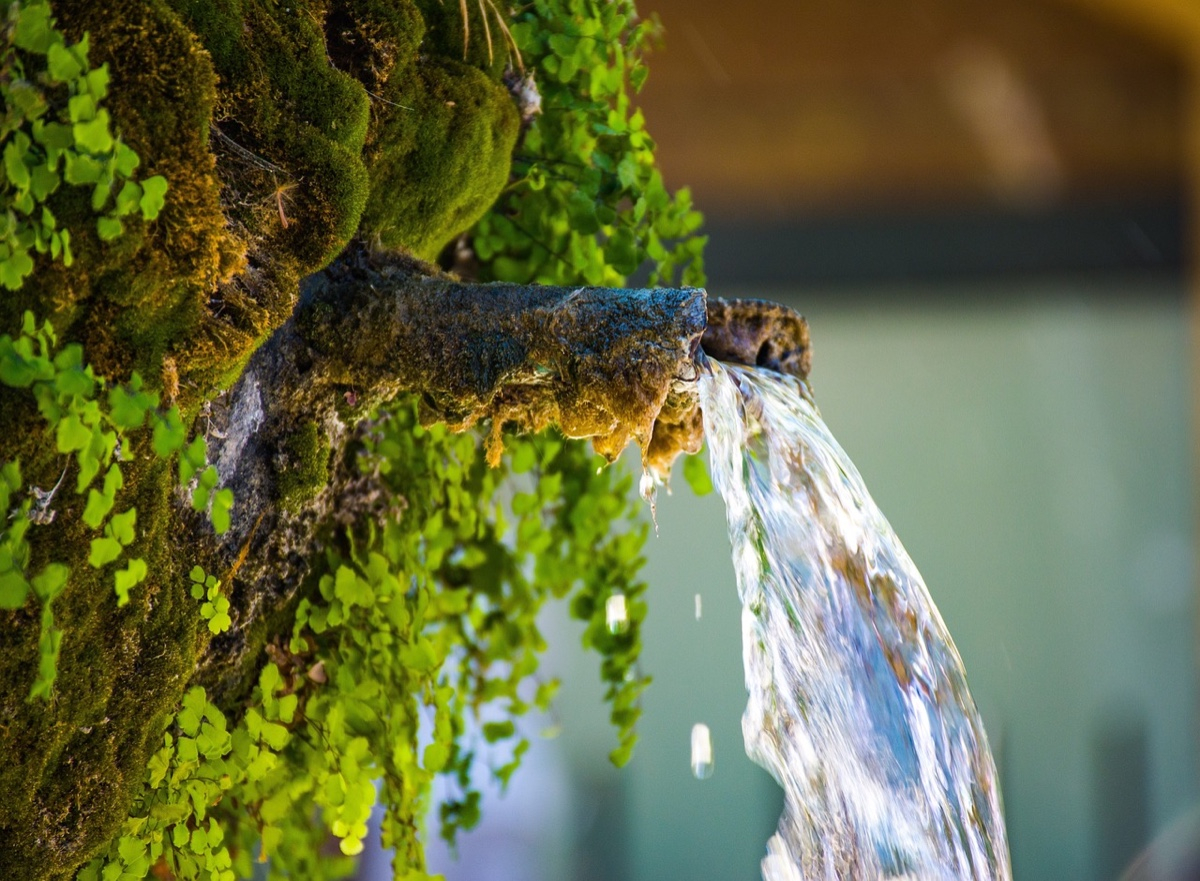 Aix-en-Provence : un séminaire d’entreprise entre nature, culture et team-building éco-responsable