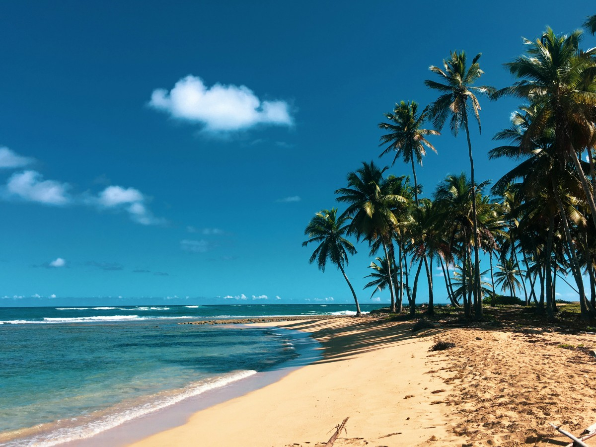 République Dominicaine : Un séminaire d’entreprise et un séjour incentive exceptionnel entre découverte et performance