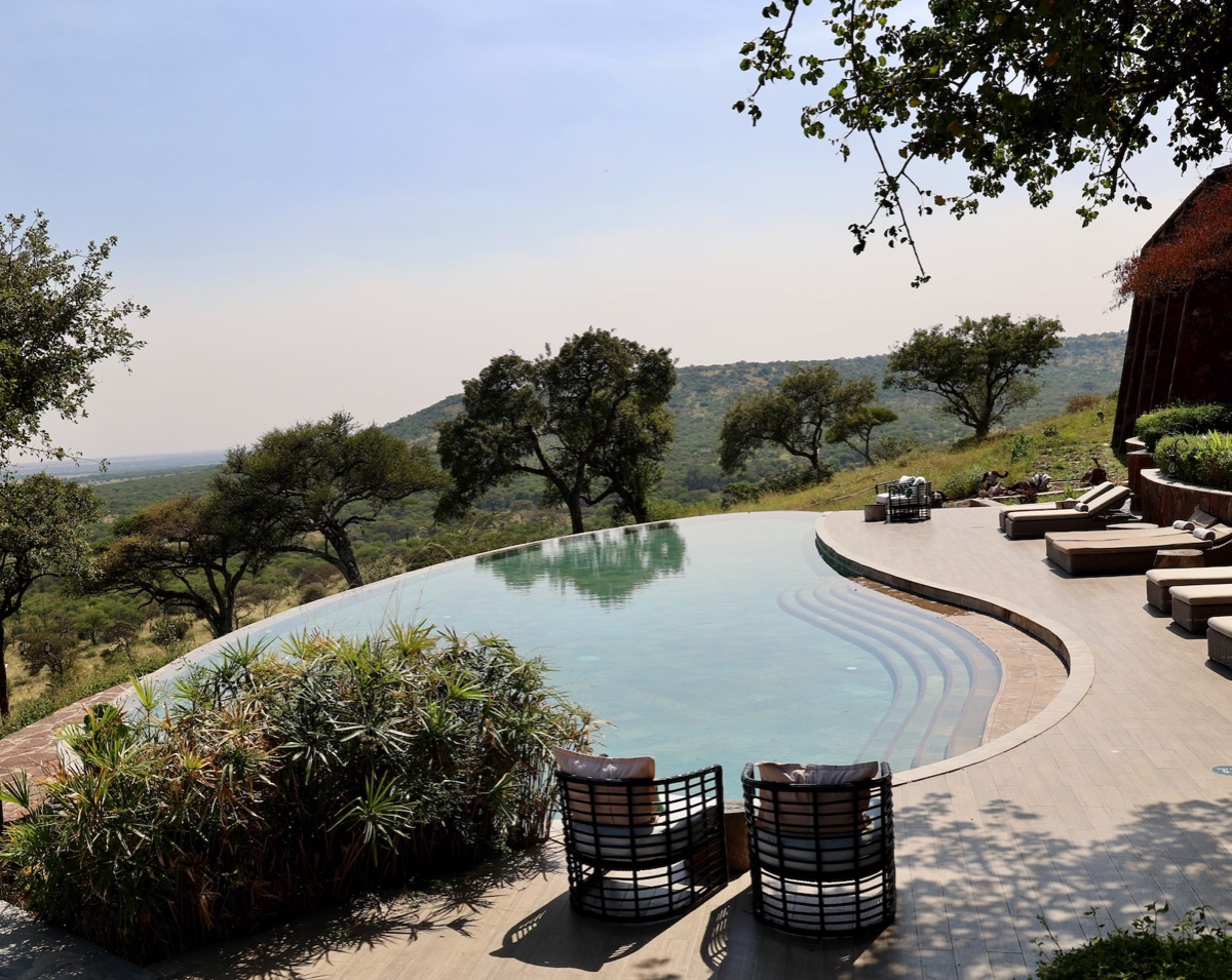 Voyage incentive en Tanzanie : l’aventure safari au service de la motivation d’équipe