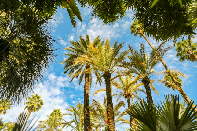 Marrakech : Un voyage incentive sur mesure pour renforcer la cohésion d'équipe et motiver vos collaborateurs au Maroc