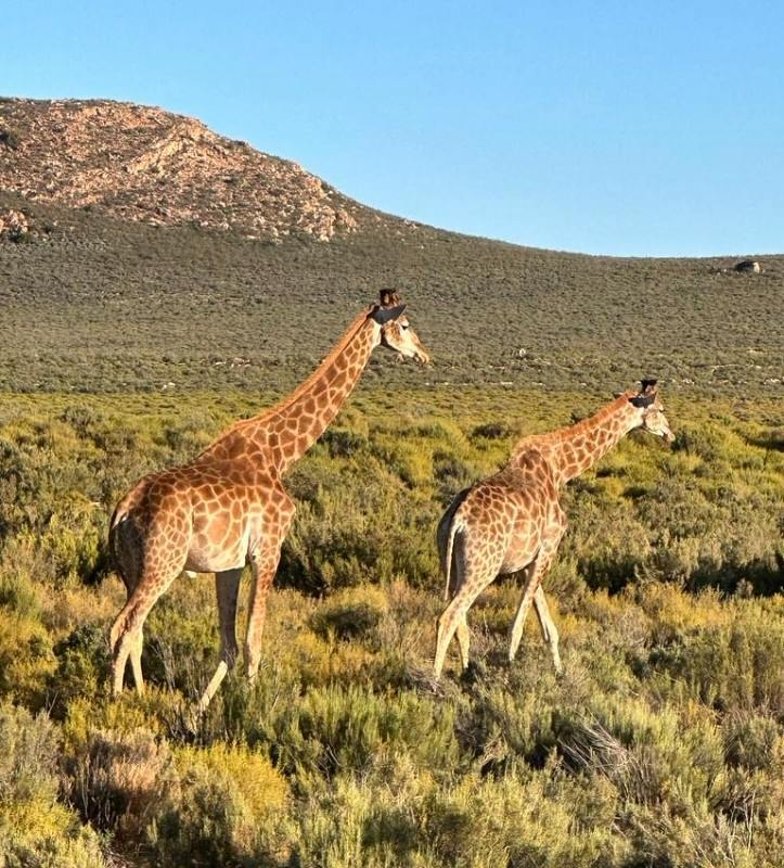 Cape Town : dépaysement et cohésion pour un séminaire d’exception au bout du monde