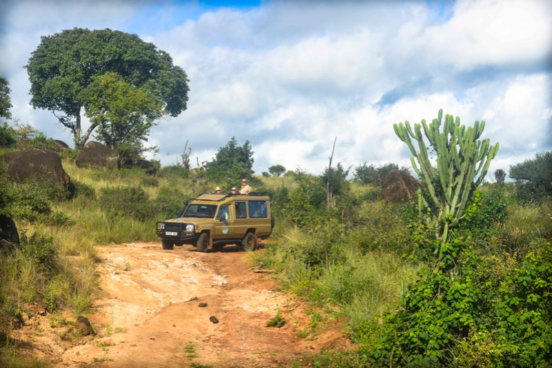 Voyage d’entreprise en Tanzanie : récompenser, rassembler, inspirer autrement