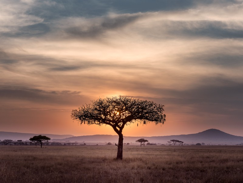 Voyage d’entreprise en Tanzanie : récompenser, rassembler, inspirer autrement