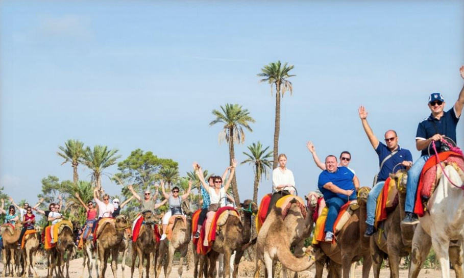  Séminaire d’entreprise à Marrakech – Réunion, incentive et team building au cœur de l’Atlas