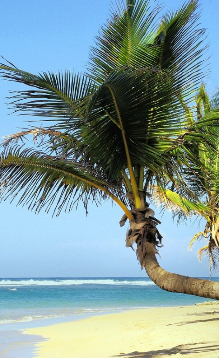 Cuba : Un voyage de récompense sur mesure dans les Caraïbes pour valoriser vos équipes