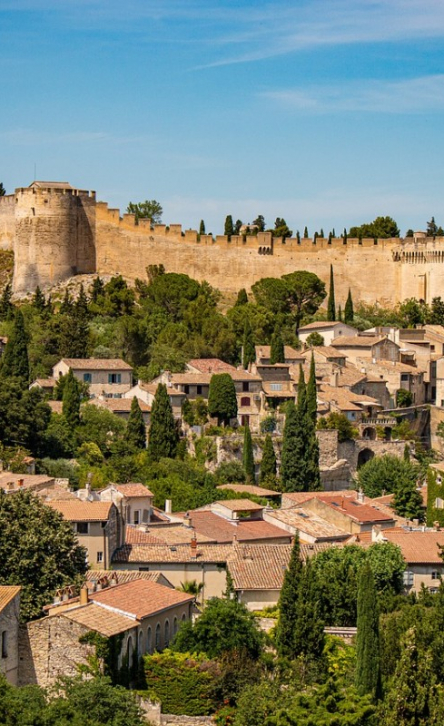  Séminaire et team building à Avignon : l’alliance parfaite pour votre prochaine convention d’entreprise en France