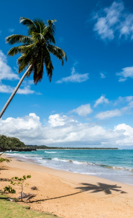 République Dominicaine : Un séminaire d’entreprise et un séjour incentive exceptionnel entre découverte et performance