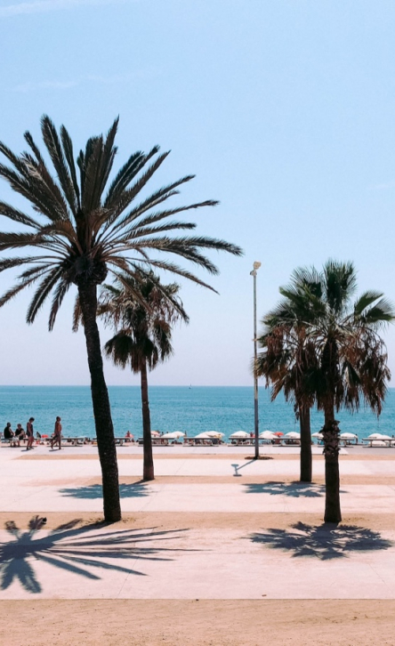 Cap sur Barcelone : organisez votre séminaire d'entreprise en Espagne 