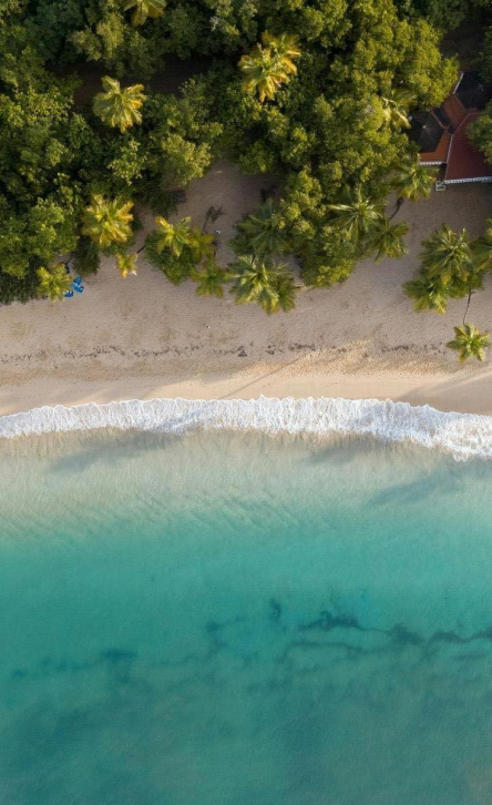 Martinique : Un séminaire d’entreprise et un voyage incentive inoubliable dans un des décors paradisiaque des Caraïbes
