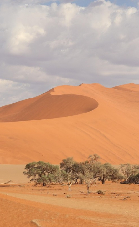 Pourquoi choisir la Namibie pour votre prochain voyage incentive et séminaire d’entreprise ?