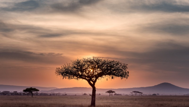 Voyage d’entreprise en Tanzanie : récompenser, rassembler, inspirer autrement