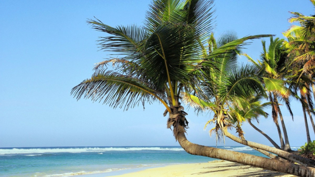 Cuba : Un voyage de récompense sur mesure dans les Caraïbes pour valoriser vos équipes