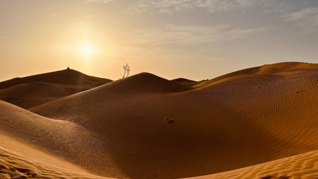 Sultanat d’Oman : une destination de choix pour un voyage d’entreprise, incentive et motivation