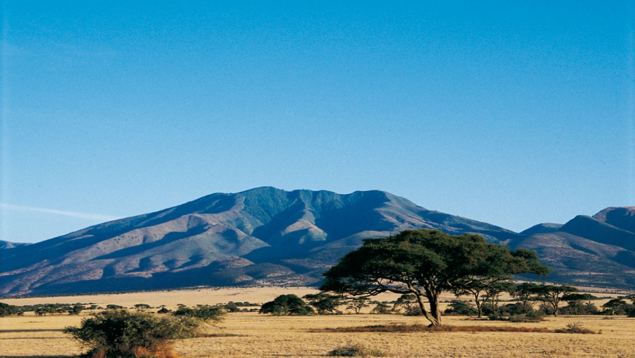 Voyage de récompense en Tanzanie : un voyage incentive entre savane, team building et aventure humaine